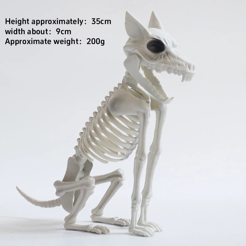 Halloween New Dog Skeleton Decoration. Spooky Skeleton Animal Puppy Bones Decoration for Halloween Indoor & Outdoor 2026