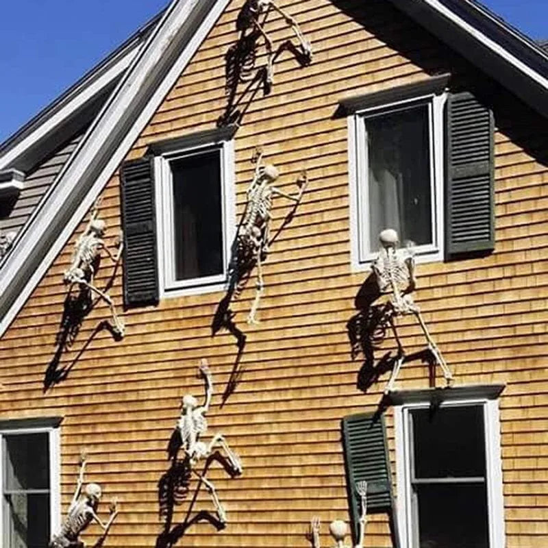 💀 Halloween Skeleton Model – Spooky Haunted House Decor