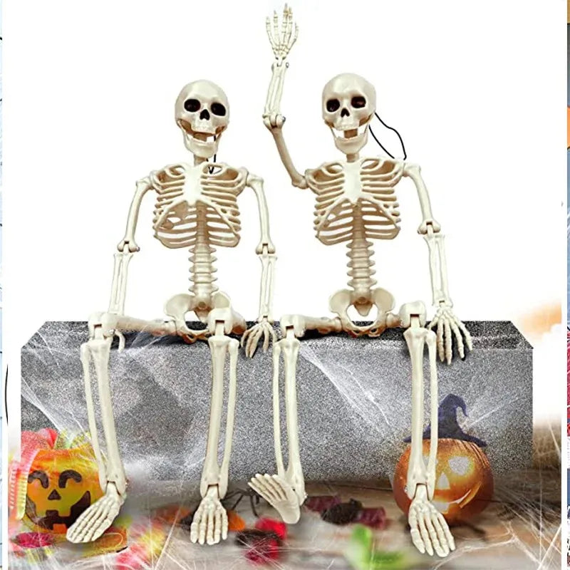 💀 Halloween Skeleton Model – Spooky Haunted House Decor