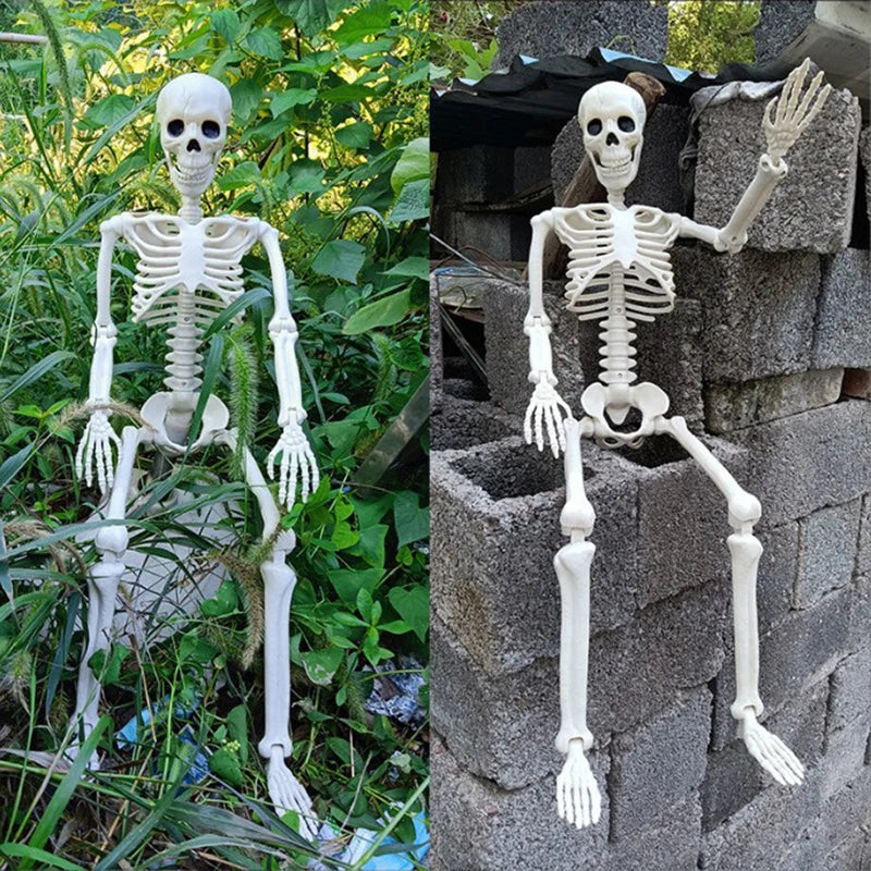 💀 Halloween Skeleton Model – Spooky Haunted House Decor