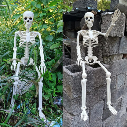 💀 Halloween Skeleton Model – Spooky Haunted House Decor