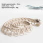 Halloween New Dog Skeleton Decoration. Spooky Skeleton Animal Puppy Bones Decoration for Halloween Indoor & Outdoor 2026