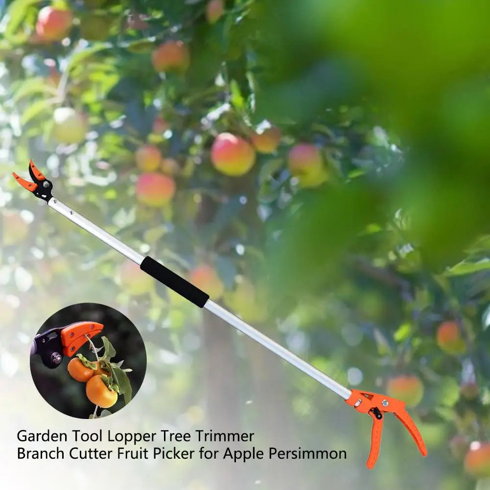 1M Extra Long Fruit Picker.
