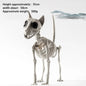 Halloween New Dog Skeleton Decoration. Spooky Skeleton Animal Puppy Bones Decoration for Halloween Indoor & Outdoor 2026