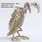 Halloween New Dog Skeleton Decoration. Spooky Skeleton Animal Puppy Bones Decoration for Halloween Indoor & Outdoor 2026