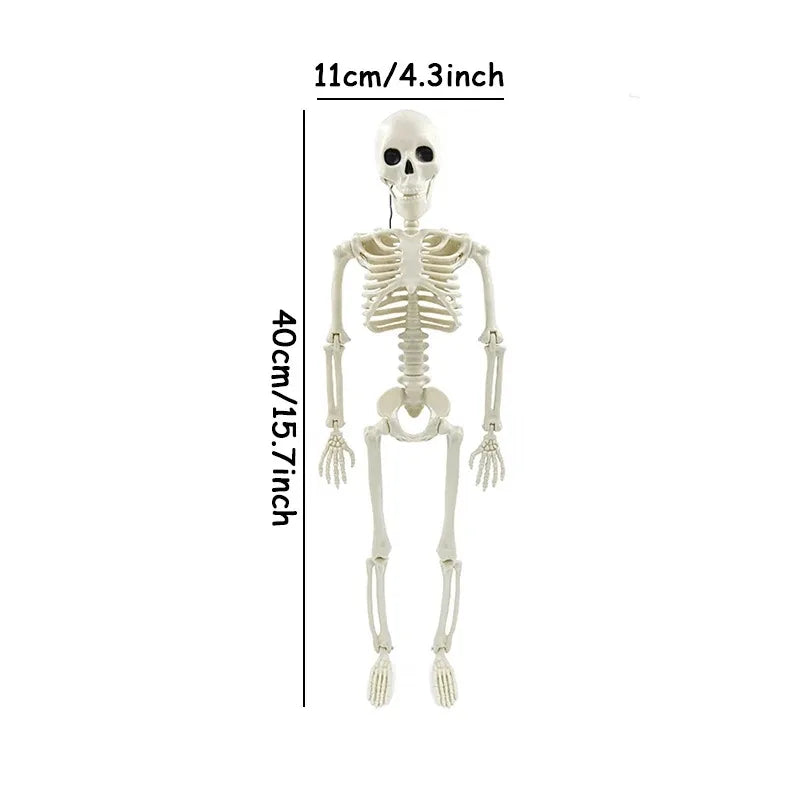 💀 Halloween Skeleton Model – Spooky Haunted House Decor