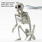 Halloween New Dog Skeleton Decoration. Spooky Skeleton Animal Puppy Bones Decoration for Halloween Indoor & Outdoor 2026