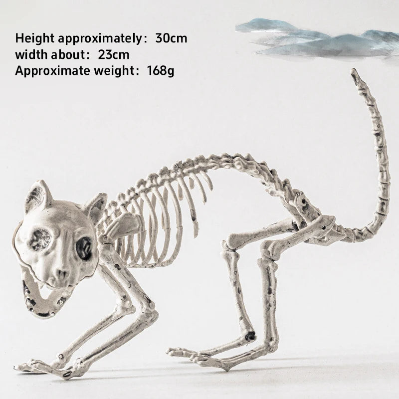 Halloween New Dog Skeleton Decoration. Spooky Skeleton Animal Puppy Bones Decoration for Halloween Indoor & Outdoor 2026