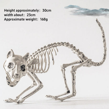 Halloween New Dog Skeleton Decoration. Spooky Skeleton Animal Puppy Bones Decoration for Halloween Indoor & Outdoor 2026