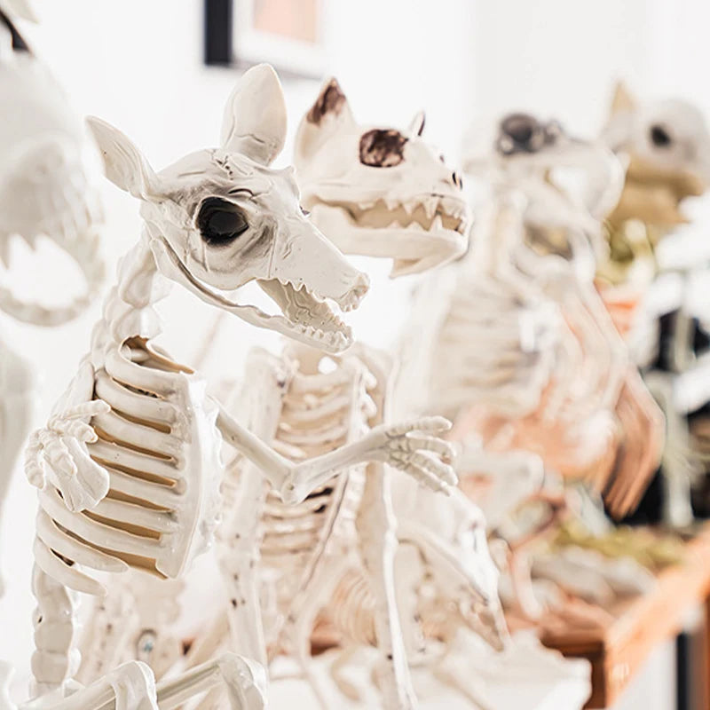Halloween New Dog Skeleton Decoration. Spooky Skeleton Animal Puppy Bones Decoration for Halloween Indoor & Outdoor 2026